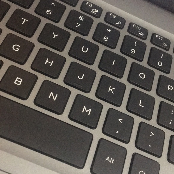 Meet your Posher, Dakota - Picture 1 of 1